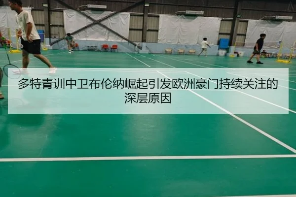 多特青训中卫布伦纳崛起引发欧洲豪门持续关注的深层原因