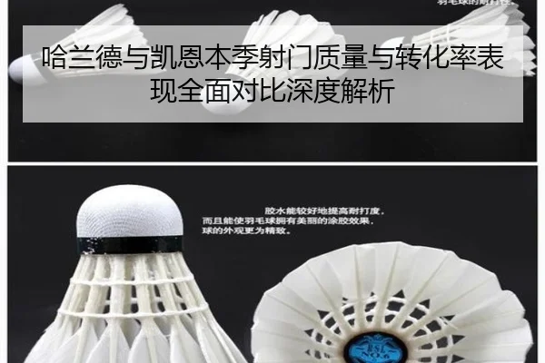 哈兰德与凯恩本季射门质量与转化率表现全面对比深度解析 | kaiyun